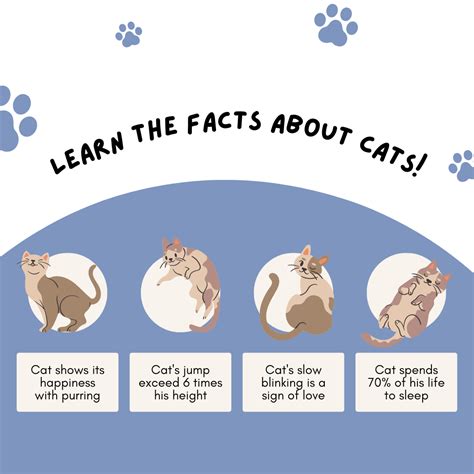 Fascinating Facts About Cats