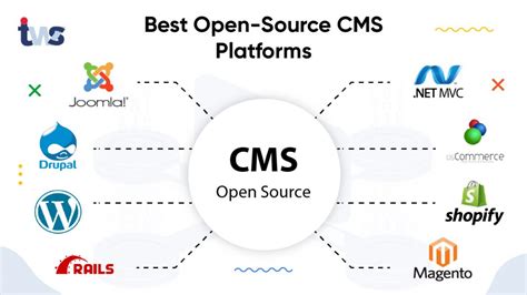 What is Content Management System (CMS)? and its importance?