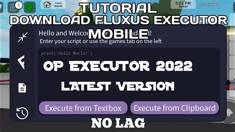 Image result for Fluxus Executor Scripts