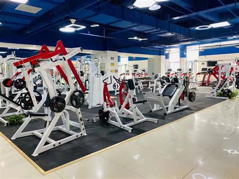 Commercial Gym Equipment 的图像结果