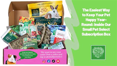 The Easiest Way to Keep Your Pet Happy Year-Round: Inside Our Small Pet ...