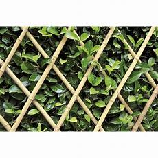 traliccio estensibile verdemax traliccio estensibile in bamboo naturale shop traliccio estensibile verdemax traliccio estensibile in bamboo naturale shop