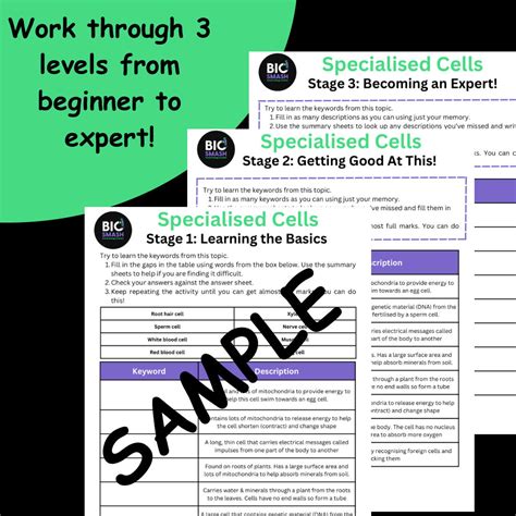 Science Biology Revision: Cells (GCSE Level). Keyword Revision Pack ...