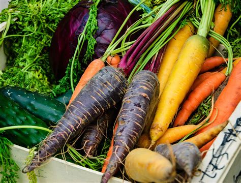 Create a Vibrant Rainbow Garden with Edible Vegetables