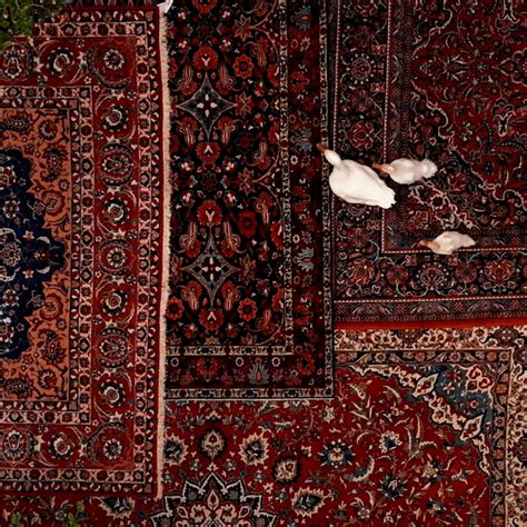 Obeetee Carpets | Architectural Digest India