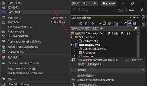 Blazer Tutorial .Net 的图像结果