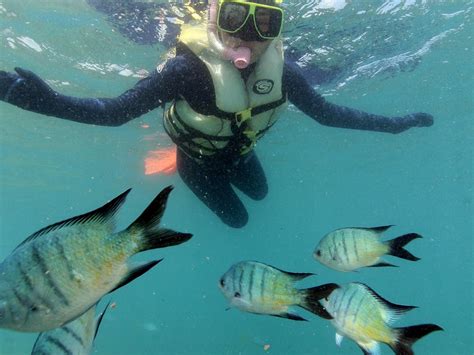 REEFSTAR CRUISES (2026) All You Need to Know BEFORE You Go (with Photos ...