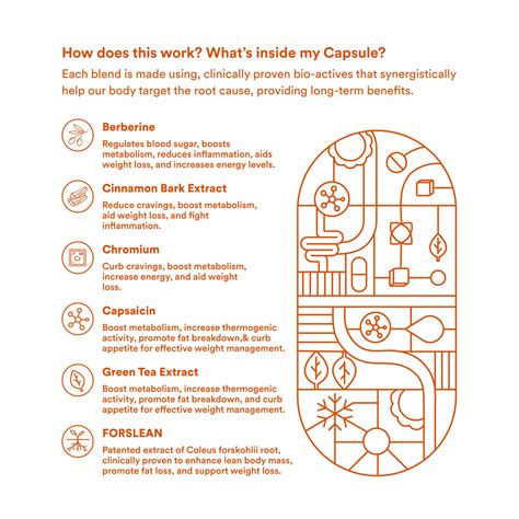 Metabolism Booster | Origins Nutra