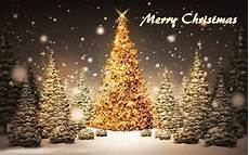 Merry Wallpaper Tree by Merry Free Hd Wallpapers Let Us Publish Merry Wallpaper Tree