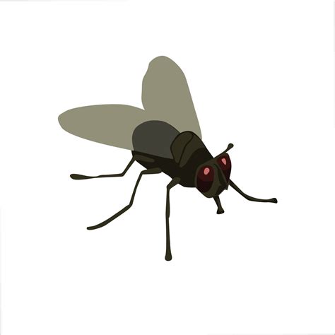 Fly Clip Art