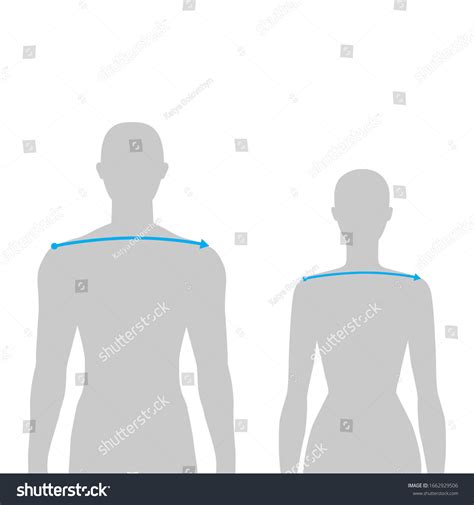 What Is A Shoulder Measurement at Gayla Wilson blog