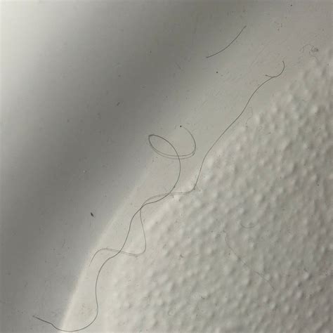 MANDALAY BAY RESORT & CASINO (Las Vegas) - Resort Reviews, Photos, Rate ...