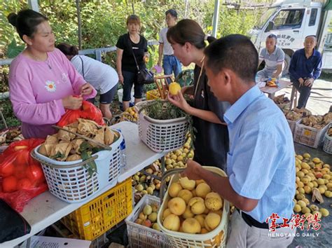 衡阳市人民政府门户网站-[衡阳县] 岣嵝峰的高山黄桃熟了，每天在线销售五六千斤