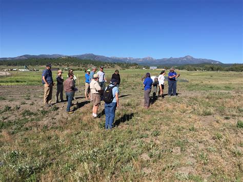 Volunteers Survey for Pagosa Skyrocket in 2018 | FWS.gov