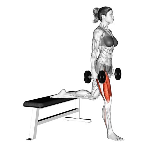 6 Best Dumbbell Squat Variations (with Pictures!) - Inspire US