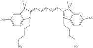 A Starting Point for Fluorescence-Based Single-Molecule Measurements in ...
