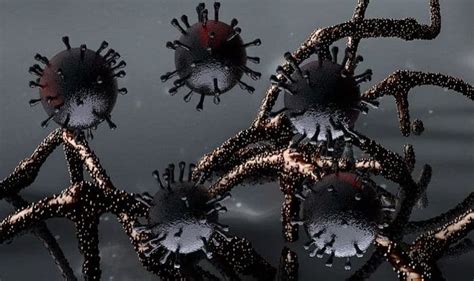 Deadly COVID-19 Virus May Linger on Human Skin For Up to 9 Hours: Study