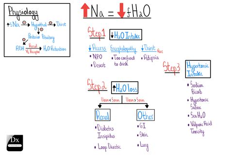 Hypernatremia Algorithm 的图像结果