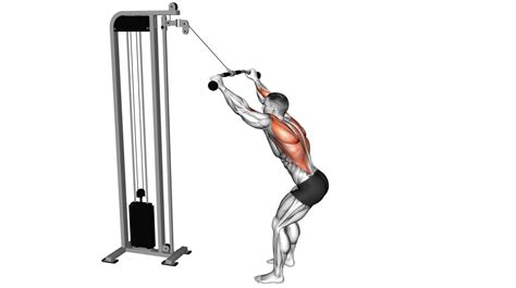 Lat Workout With Dumbbells
