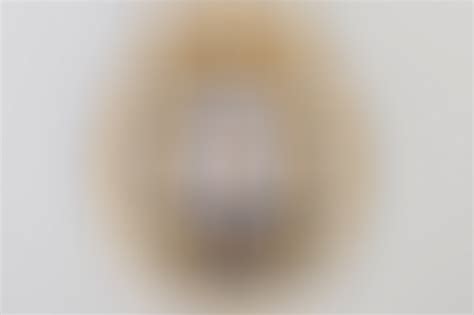 ratisbon's | Minesweeper War Badge - Schwerin (tombak) | DISCOVER ...