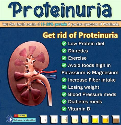 🔴 How to use VITAMIN D to GET RID of PROTEINURIA FAST | Healthy kidney diet, Kidney friendly ...