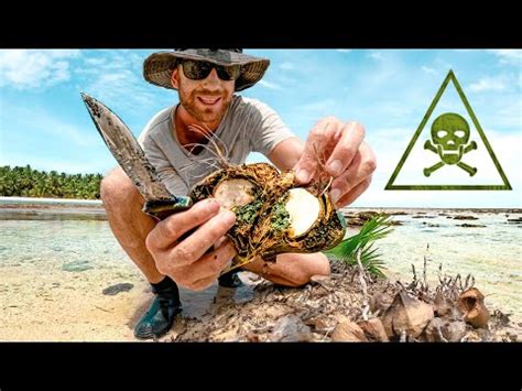 Image result for Primitive Island