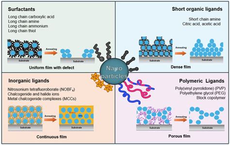 Ligands of Nanoparticles and Their Influence on the Morphologies of ...