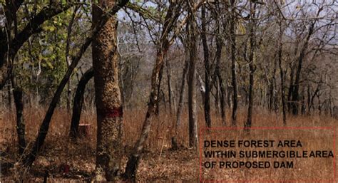 Fatal setback for Ken Betwa Link Project from CEC – SANDRP