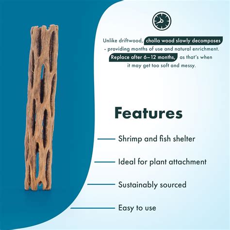 SubstrateSource Natural Cholla Wood - Driftwood for India | Ubuy