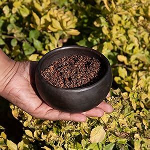 Foodlore Melukote Puliyogare Powder (200g) : Amazon.in: Grocery ...