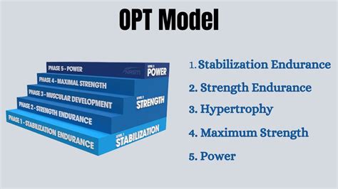 OPT Model Explained 的图像结果