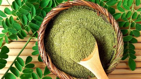 What Is Moringa and What Are Its Potential Benefits? – ROOTNRISEBLISS