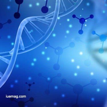 Biotech 的图像结果