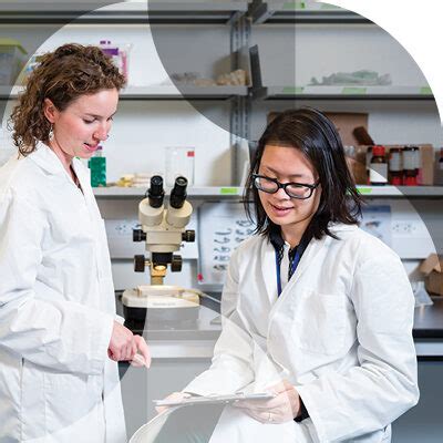 Grad-School Biomedical Engineering 的图像结果