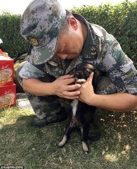 Exploding Puppy 的图像结果