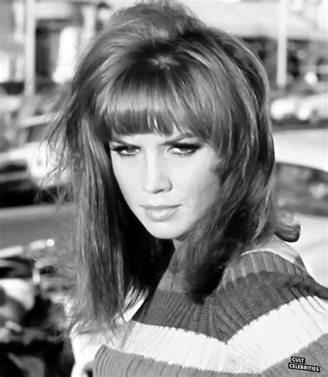 Jocelyn Lane – Cult Celebrities