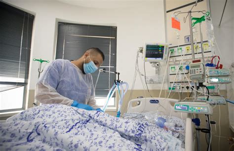 Intensive 的图像结果