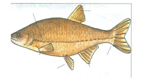 Types 的图像结果