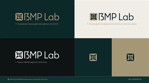 Image result for Sample BMP Lab