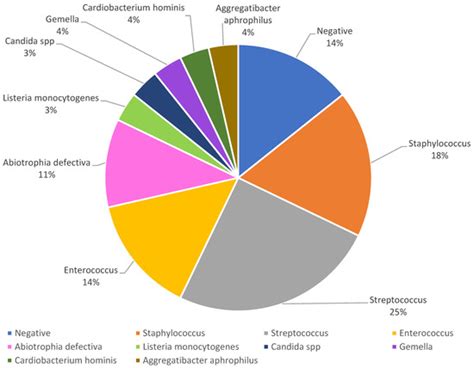 Multidisciplinary Perspectives of Challenges in Infective Endocarditis ...