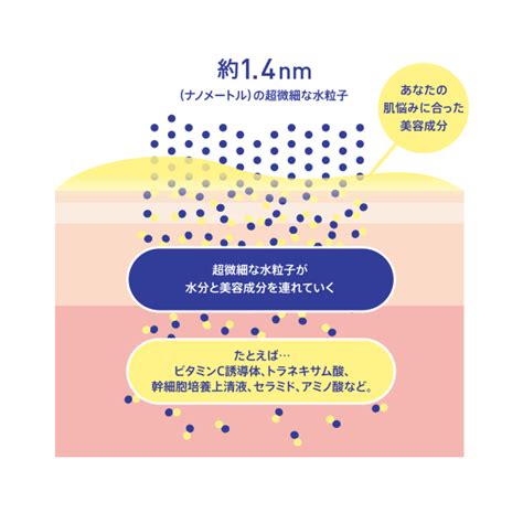 WINDSCELL（ウィンセル）｜水の力。変わる肌。