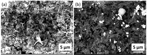 Development of Multifunctional CoAl Based Layered Double Hydroxide ...