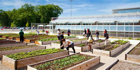 The Boner Fitness & Learning Center at the Chase Legacy Building - RATIO