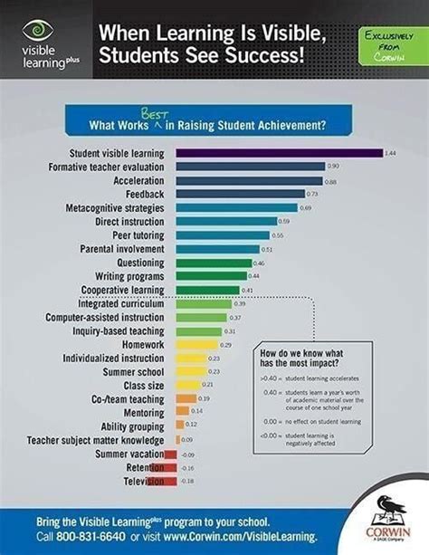 Image result for What Is Visible Learning Fun