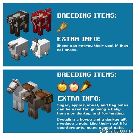 Command to Be Animal Minecraft Java 的图像结果