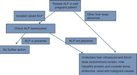 Pregnancy | Abdominal Key