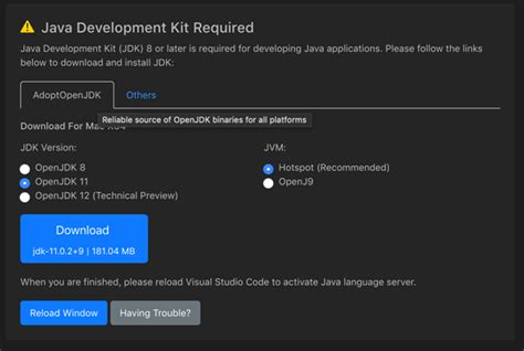 Image result for Visual Studio Code Install Pack Java
