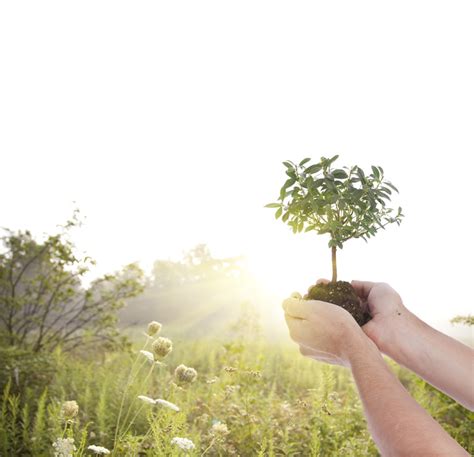 Zahrbock Funeral Home | Madison, MN