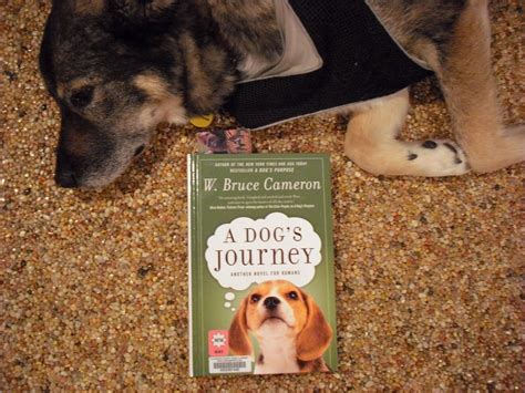 Grab A Book From Our Stack: "A Dog's Journey" by W. Bruce Cameron (Updated)