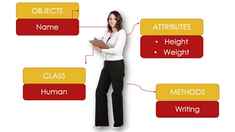 Image result for Object-Oriented Programming Example